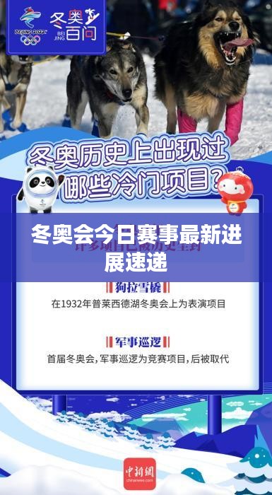 冬奥会今日赛事最新进展速递