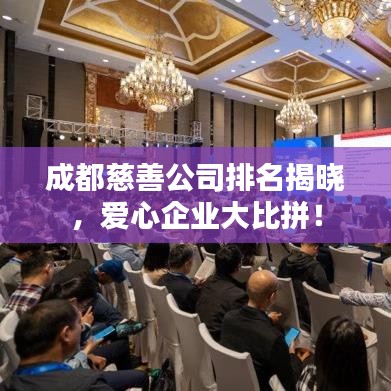 成都慈善公司排名揭晓，爱心企业大比拼！