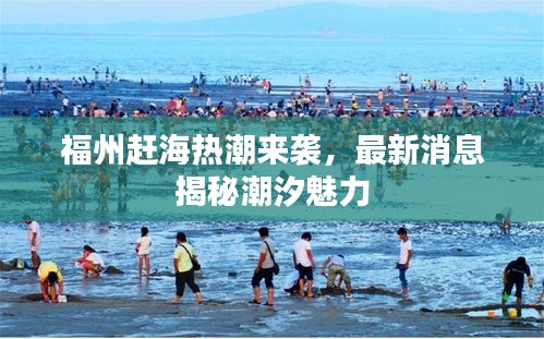 福州赶海热潮来袭，最新消息揭秘潮汐魅力