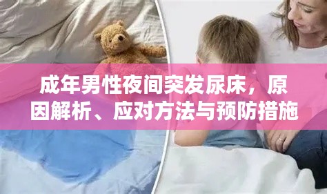 成年男性夜间突发尿床，原因解析、应对方法与预防措施