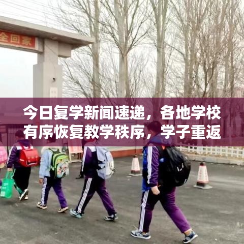 今日复学新闻速递，各地学校有序恢复教学秩序，学子重返校园时代开启！