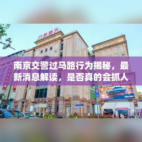 南京交警过马路行为揭秘，最新消息解读，是否真的会抓人？
