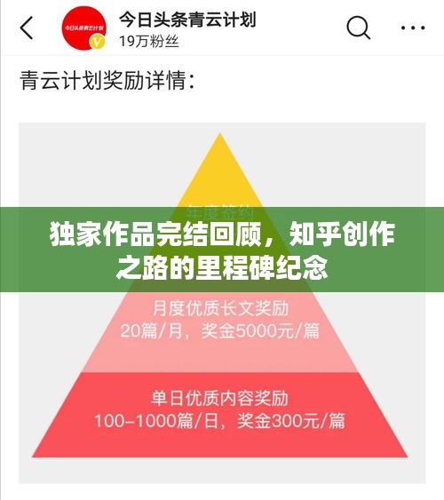 张灯挂彩 第2页
