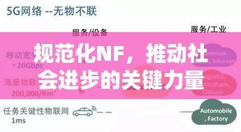 规范化NF，推动社会进步的关键力量