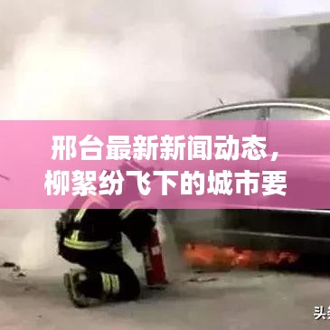 邢台最新新闻动态，柳絮纷飞下的城市要闻速递