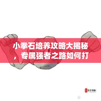 小拳石培养攻略大揭秘，专属强者之路如何打造？