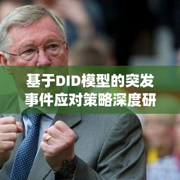 基于DID模型的突发事件应对策略深度研究