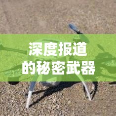 深度报道的秘密武器，掌握基础要素，吸引眼球的标题！
