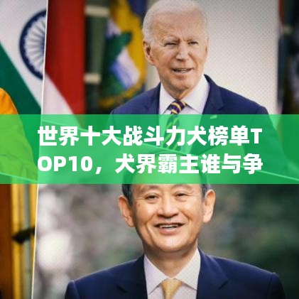 世界十大战斗力犬榜单TOP10，犬界霸主谁与争锋？