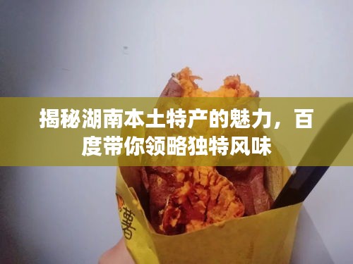 揭秘湖南本土特产的魅力，百度带你领略独特风味
