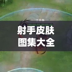 射手皮肤图集大全，最新图片大放送！