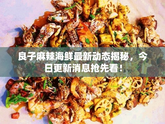 良子麻辣海鲜最新动态揭秘，今日更新消息抢先看！