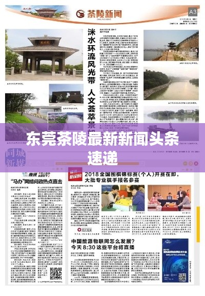 东莞茶陵最新新闻头条速递