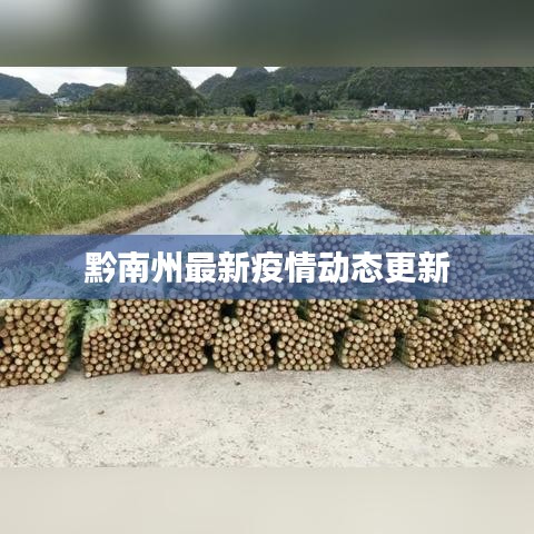 黔南州最新疫情动态更新