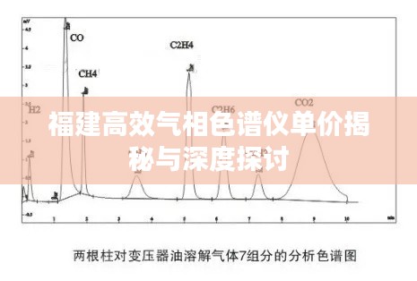 福建高效气相色谱仪单价揭秘与深度探讨