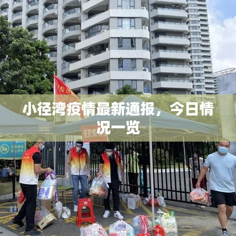 小径湾疫情最新通报，今日情况一览