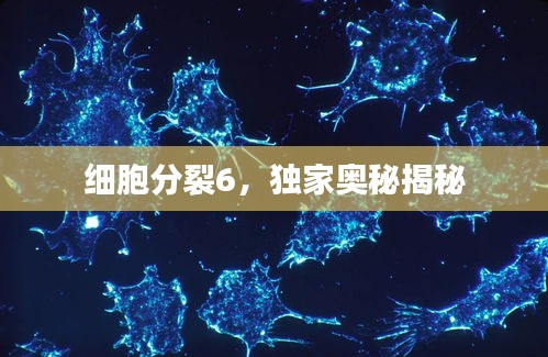 细胞分裂6，独家奥秘揭秘