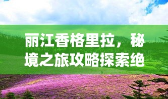丽江香格里拉，秘境之旅攻略探索绝美风光