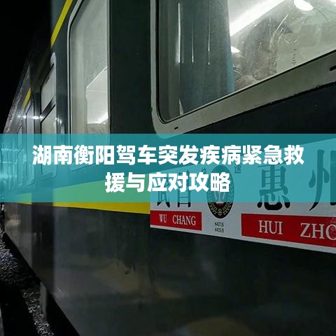 湖南衡阳驾车突发疾病紧急救援与应对攻略