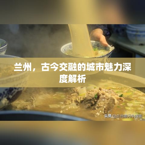 兰州，古今交融的城市魅力深度解析
