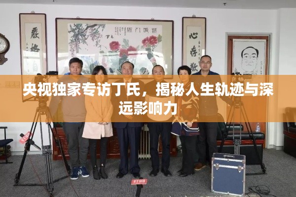 央视独家专访丁氏，揭秘人生轨迹与深远影响力