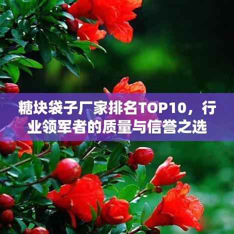 糖块袋子厂家排名TOP10，行业领军者的质量与信誉之选