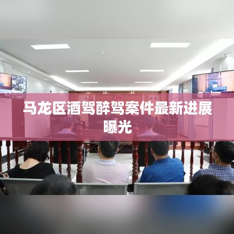 马龙区酒驾醉驾案件最新进展曝光