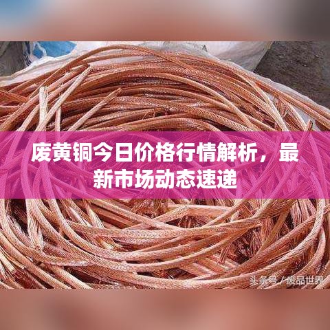 废黄铜今日价格行情解析，最新市场动态速递