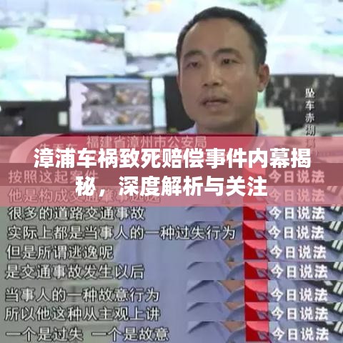 漳浦车祸致死赔偿事件内幕揭秘，深度解析与关注