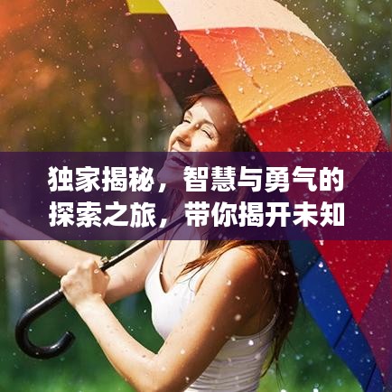 独家揭秘，智慧与勇气的探索之旅，带你揭开未知世界的神秘面纱