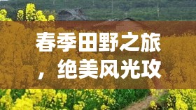 鸟穷则啄 第2页