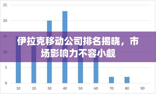 伊拉克移动公司排名揭晓，市场影响力不容小觑