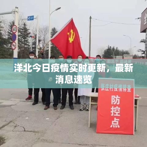 洋北今日疫情实时更新，最新消息速览