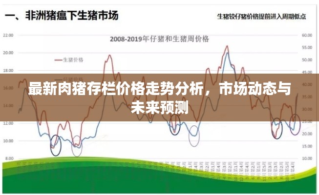 最新肉猪存栏价格走势分析，市场动态与未来预测