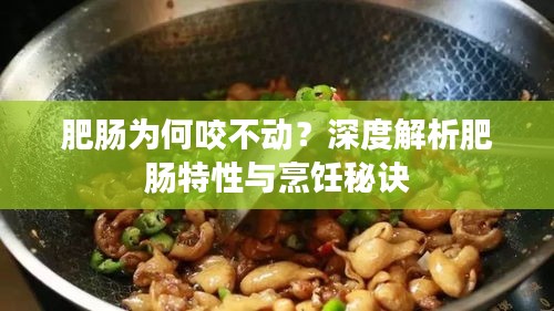 肥肠为何咬不动？深度解析肥肠特性与烹饪秘诀