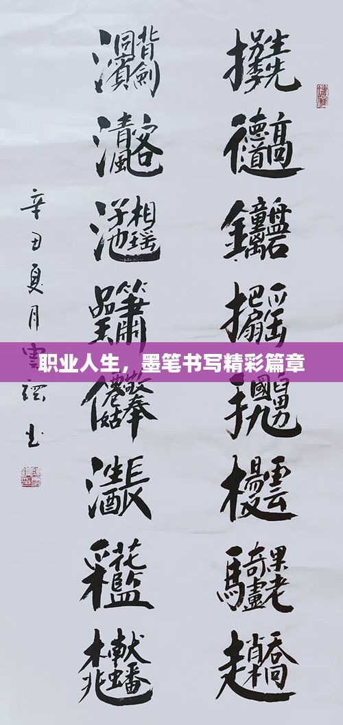 职业人生，墨笔书写精彩篇章