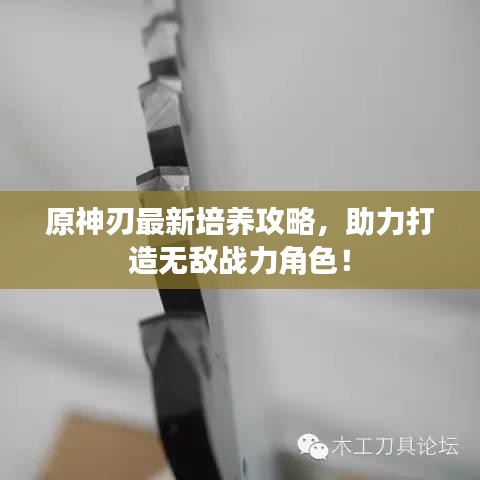 原神刃最新培养攻略，助力打造无敌战力角色！
