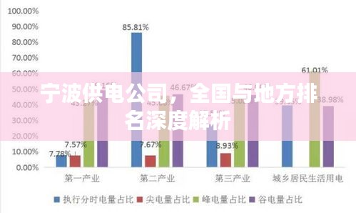 宁波供电公司，全国与地方排名深度解析
