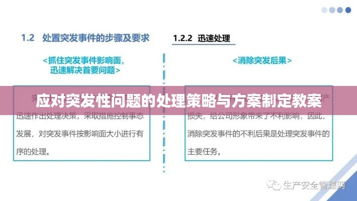 应对突发性问题的处理策略与方案制定教案