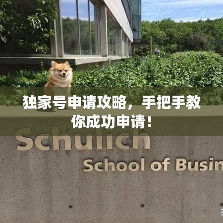 独家号申请攻略，手把手教你成功申请！
