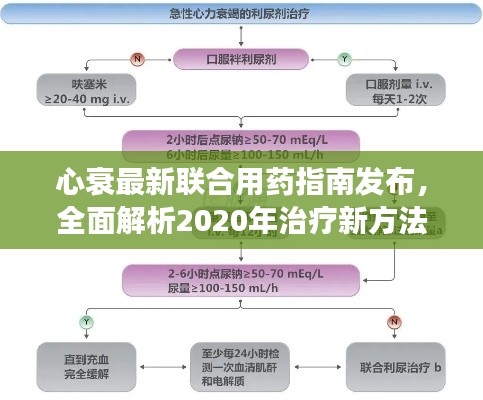 心衰最新联合用药指南发布，全面解析2020年治疗新方法，助你有效应对心脏危机！