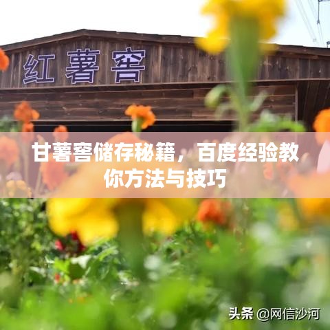 甘薯窖储存秘籍，百度经验教你方法与技巧