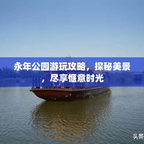 永年公园游玩攻略，探秘美景，尽享惬意时光