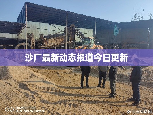 沙厂最新动态报道今日更新