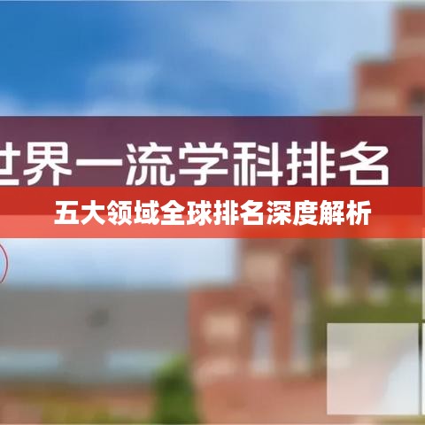 五大领域全球排名深度解析