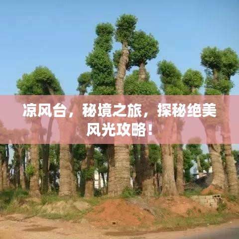 凉风台，秘境之旅，探秘绝美风光攻略！
