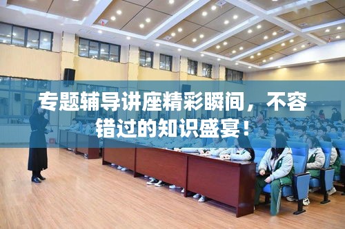 专题辅导讲座精彩瞬间，不容错过的知识盛宴！