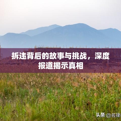 拆违背后的故事与挑战，深度报道揭示真相