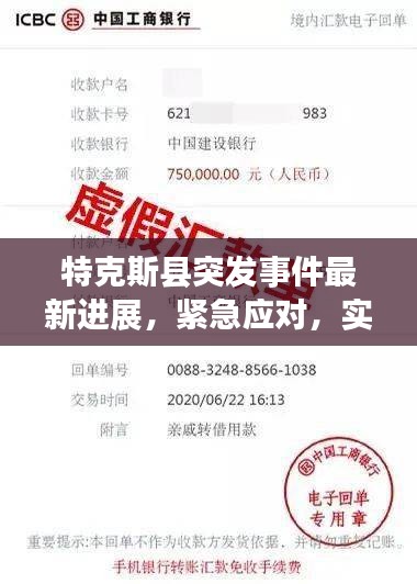 特克斯县突发事件最新进展，紧急应对，实时更新！