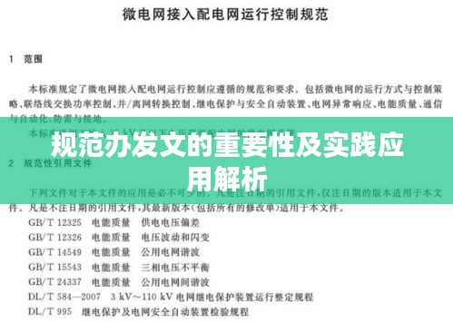 规范办发文的重要性及实践应用解析